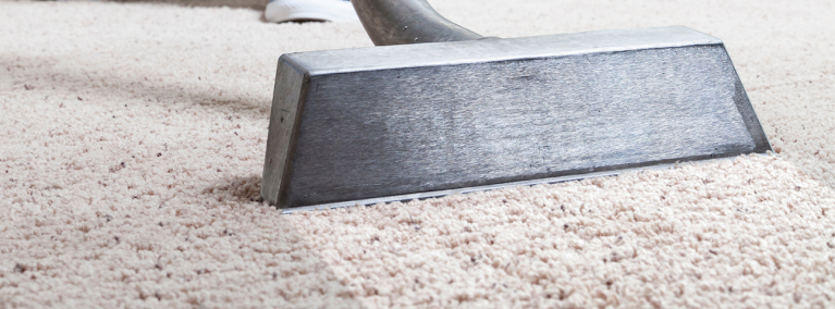 pet stain removal San Diego photo