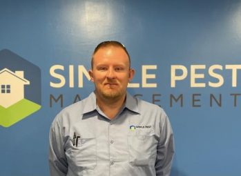 pest control near me photo