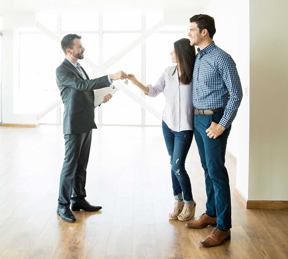 ant control near me photo