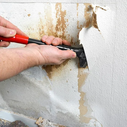 mold remediation Atlanta