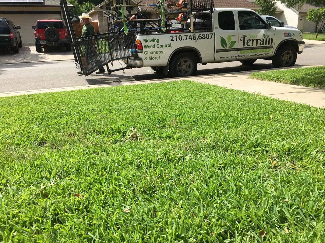 residential lawn care Universal City photo