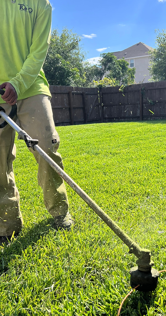 property cleanup San Antonio photo