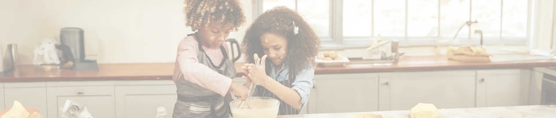 thorough deep clean in South Tampa photo