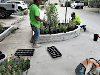 stump grinding Houston photo