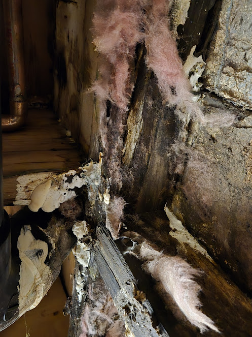 smoke damage cleanup Berkeley photo