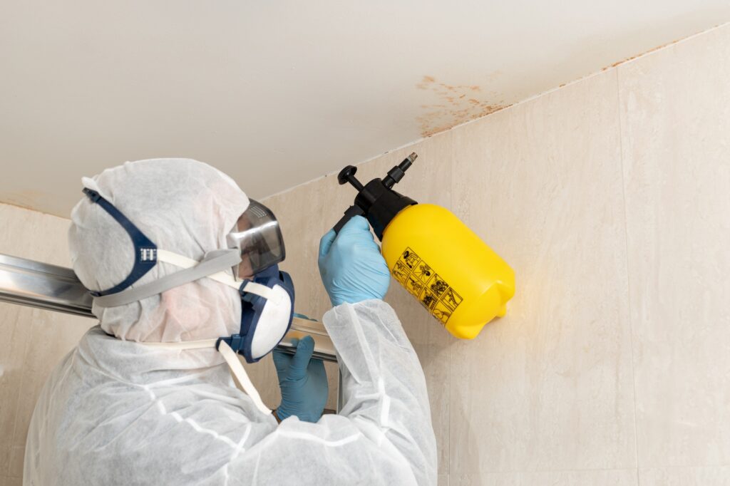 mold remediation Denver photo