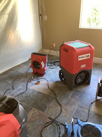 best mold inspection Las Vegas