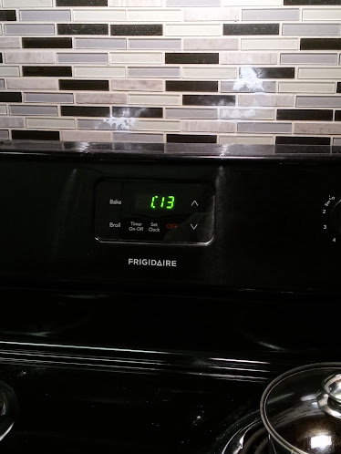 emergency pest control in Pearland photo