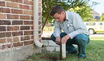 residential pest control near me photo