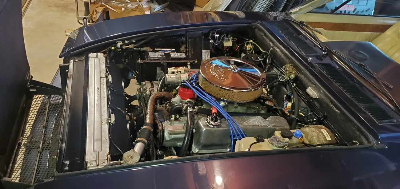 mobile car detailing Arvada photo