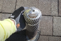 rodent exclusion Houston