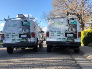 sewer line cleaning in Highlands Ranch