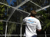 paver sealing Tampa photo