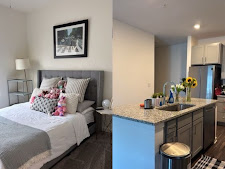 eco friendly cleaning Winter Garden photo