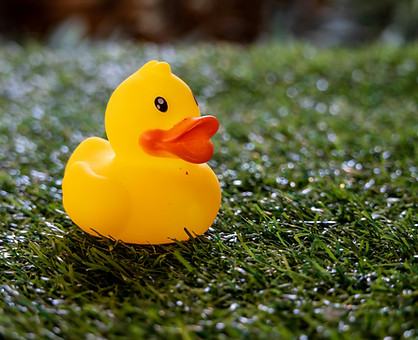 turf blooming service Encinitas photo