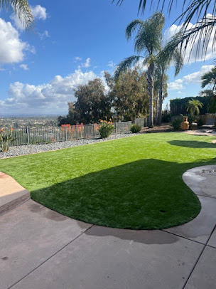 turf blooming service Encinitas photo