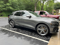 pet hair removal car Atlanta photo