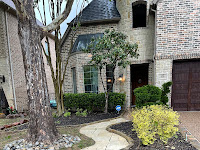 commercial pressure washing Dallas photo