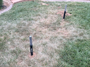 best pest control company Las Vegas photo