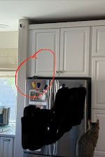 ant control North Las Vegas