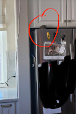 residential pest control Henderson photo