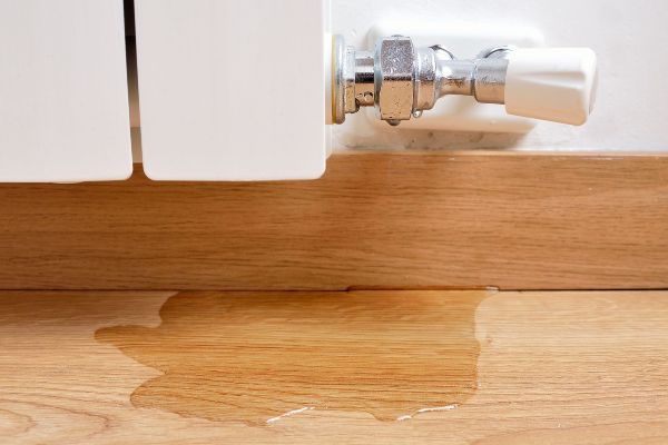 best water damage company in Gwinnett County photo