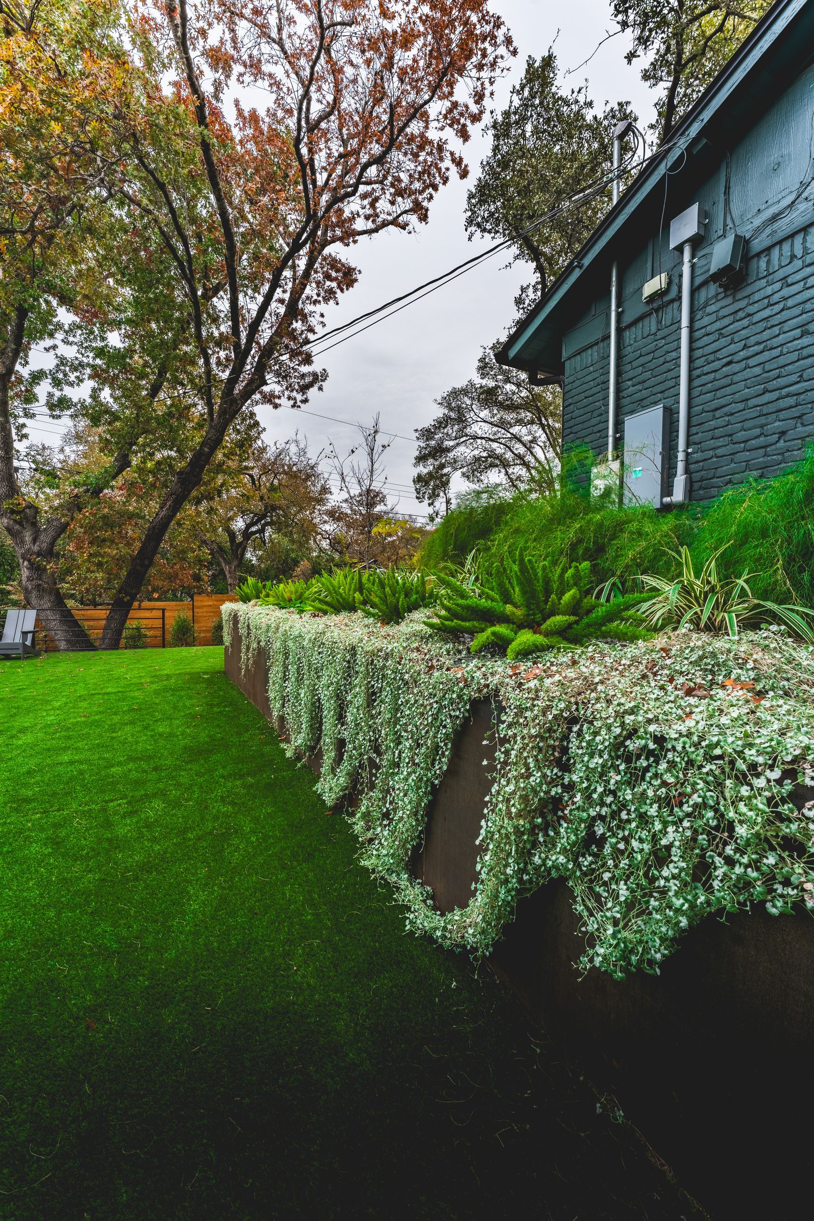 landscape contractor in Round Rock photo