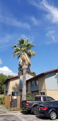 emergency tree removal in Buda photo