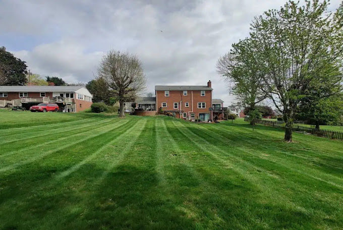 Clean Cut Landscaping photo