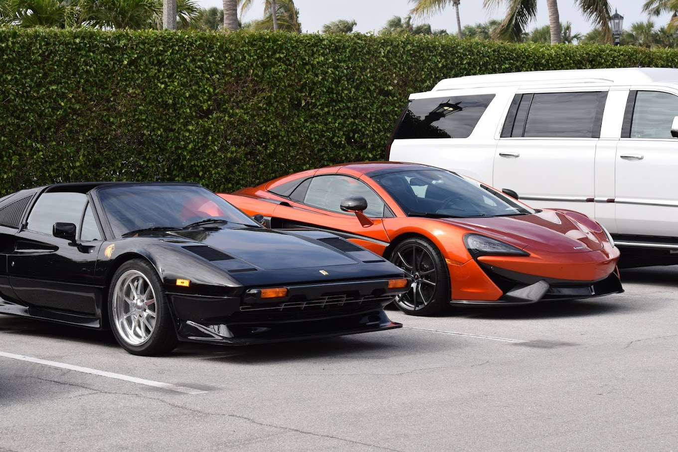 GI Clean Auto Detailing Inc. | Professional Car Detailing in Orlando, FL photo