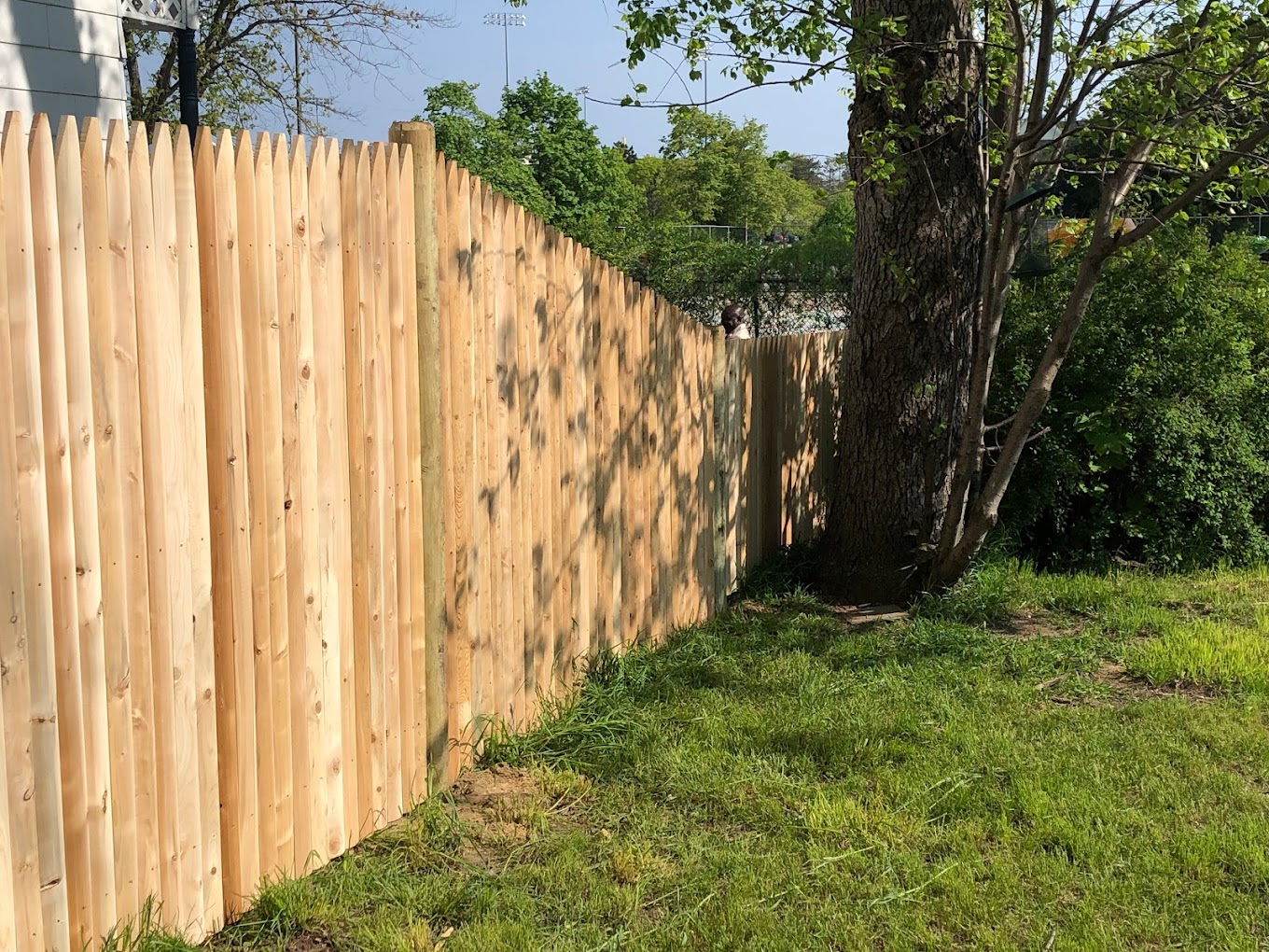 Great Upstate Fence Company – Quality Fencing & Tree Services in the Capital Region photo