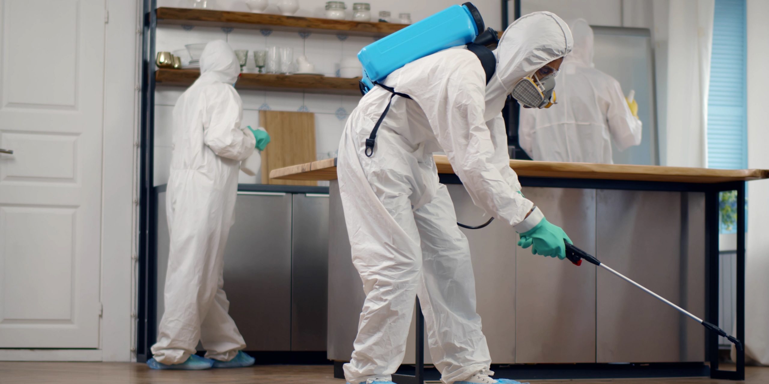 Professional pest inspection Houston
