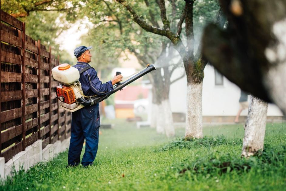 Termite inspection equipment