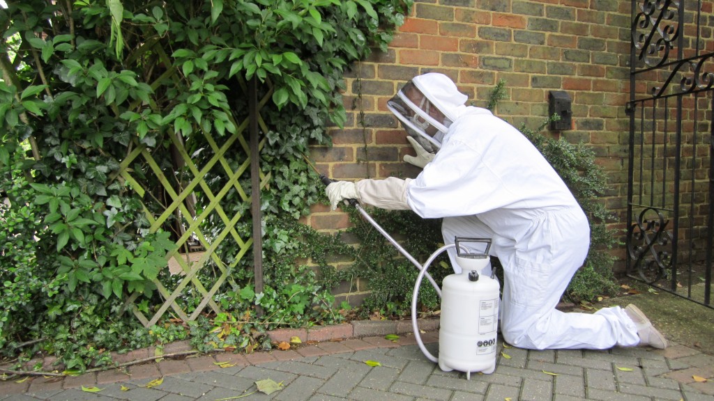 Pest control treatment in progress