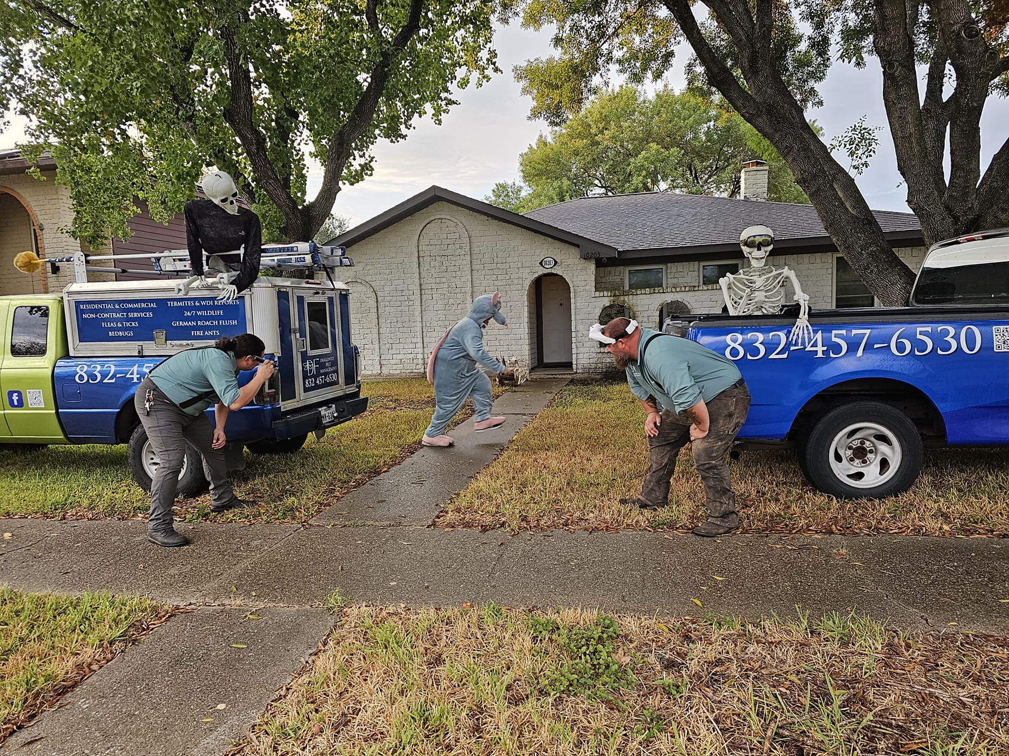 Wildlife removal service Houston
