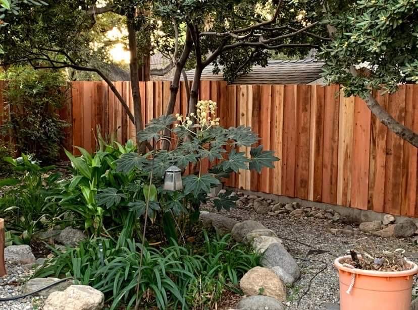 Los Angeles Fencing Co | Trusted Fence Contractor in Los Angeles photo