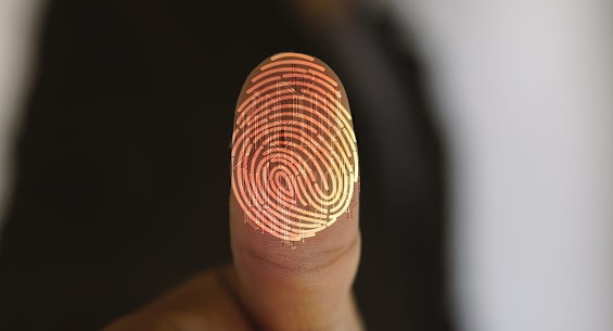 North American Investigations | Trusted Private Investigators in NYC photo