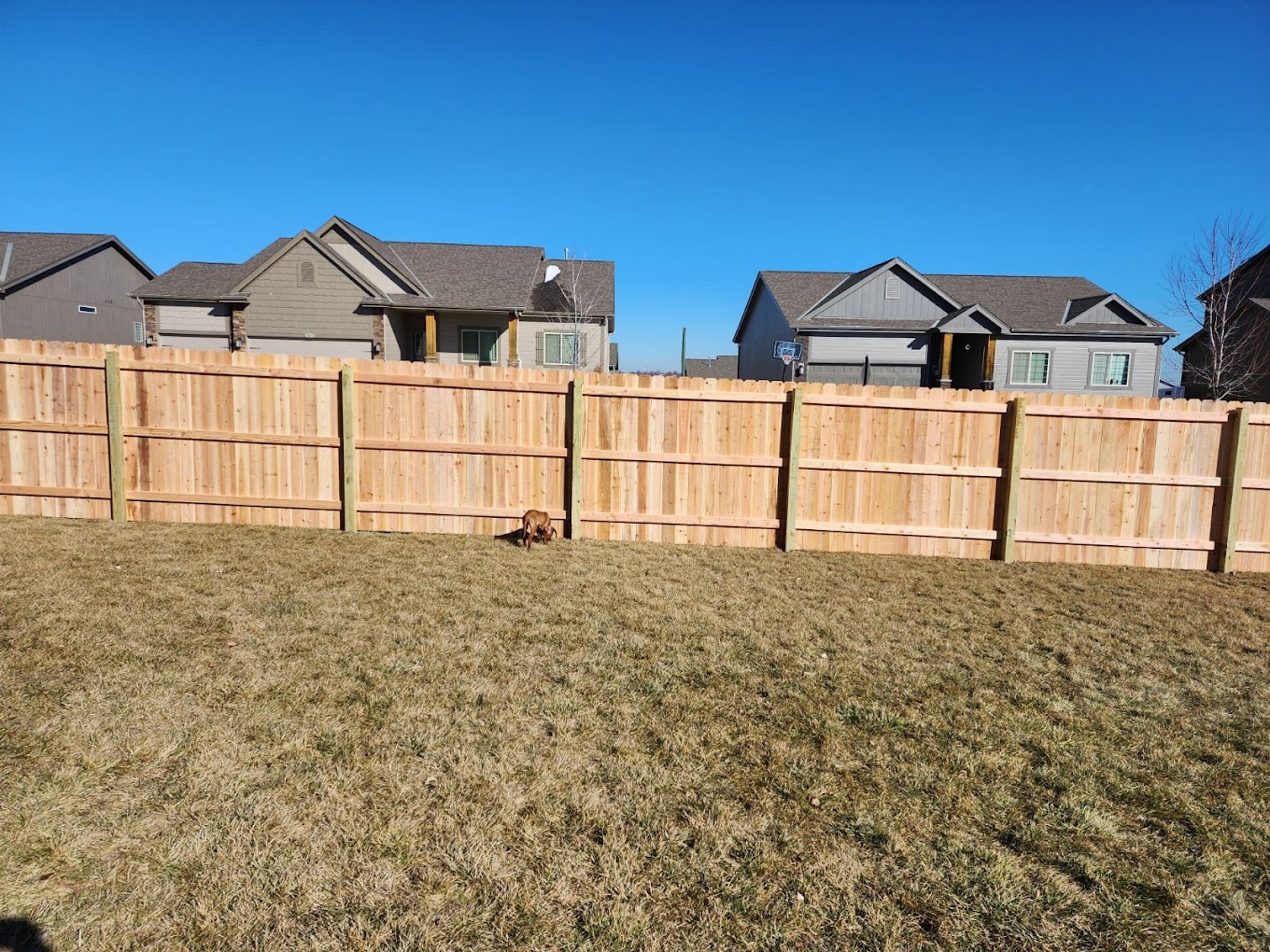 Quality Fence | Papillion's Trusted Fence Company for Residential and Commercial Needs photo