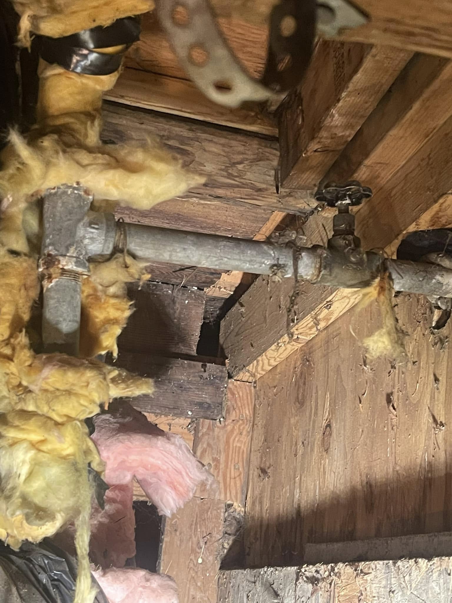 Simple Plumber LLC of Seattle, WA photo