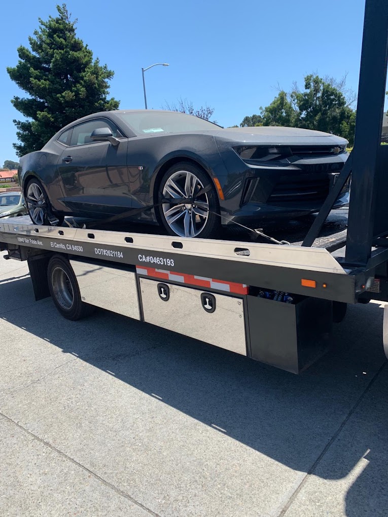 Toro Road Runners in Berkeley, CA photo