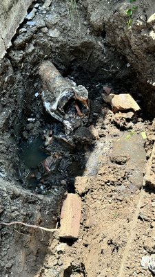 Focus provides best Rooter & Plumbing services near San Francisco, CA photo