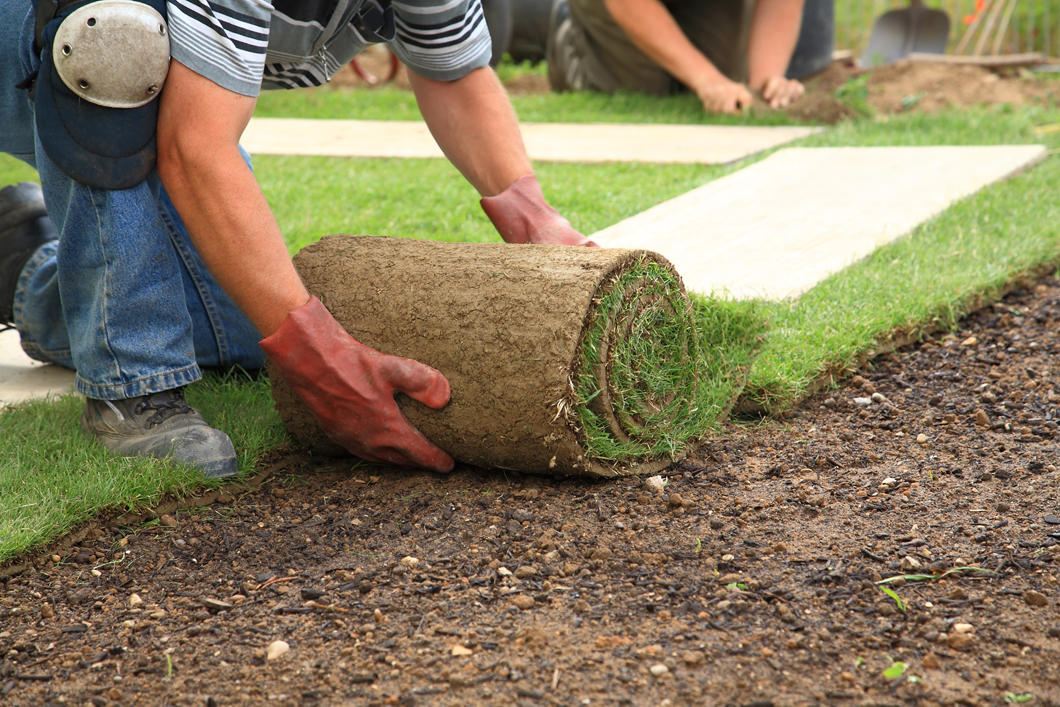Sergio's Lawn Services In Apache Junction AZ